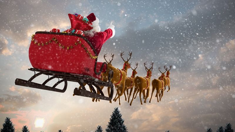 Reindeer: The Original Flyers