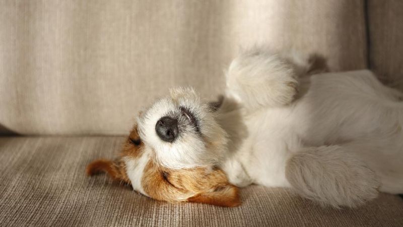 Relaxed Sleeping Posture