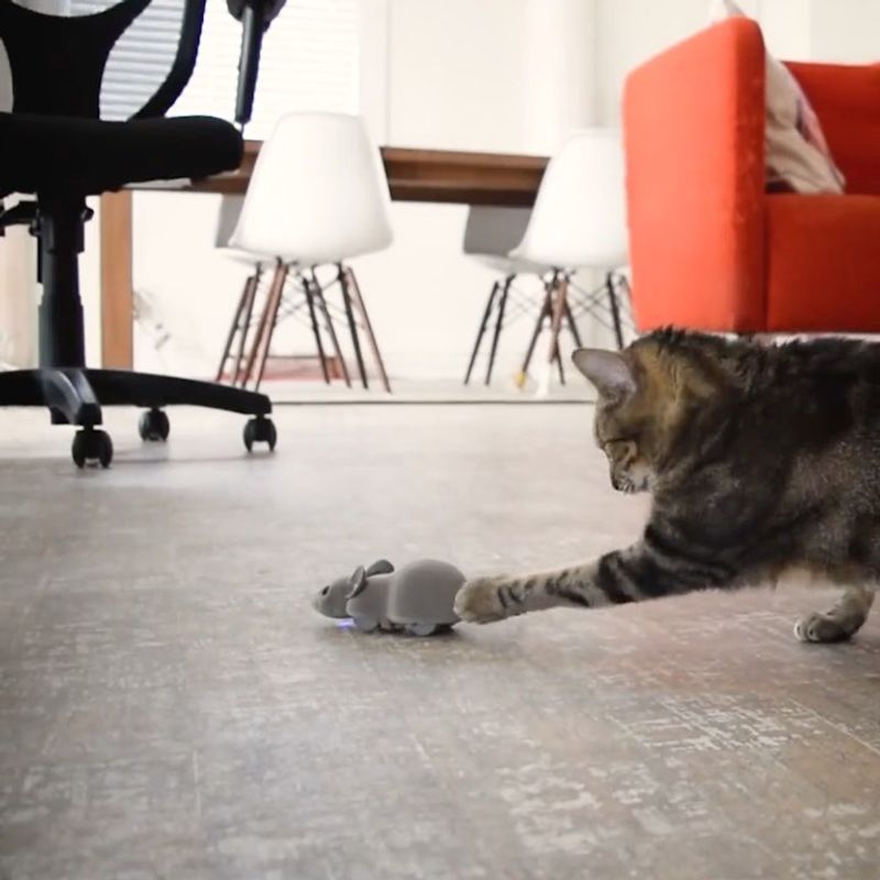 Remote-Controlled Toy Mouse