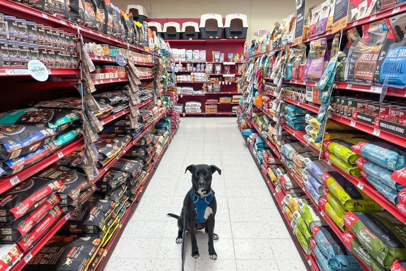Research Dog Food Brands