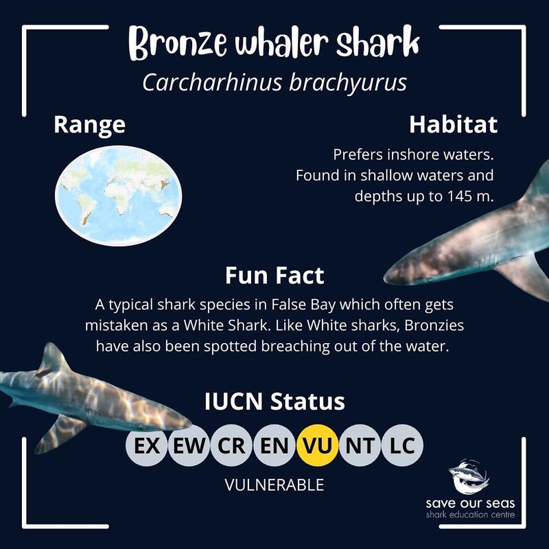 Research and Conservation Efforts