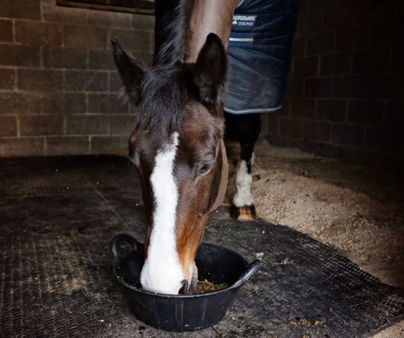 Response: Adjust Feeding Schedule