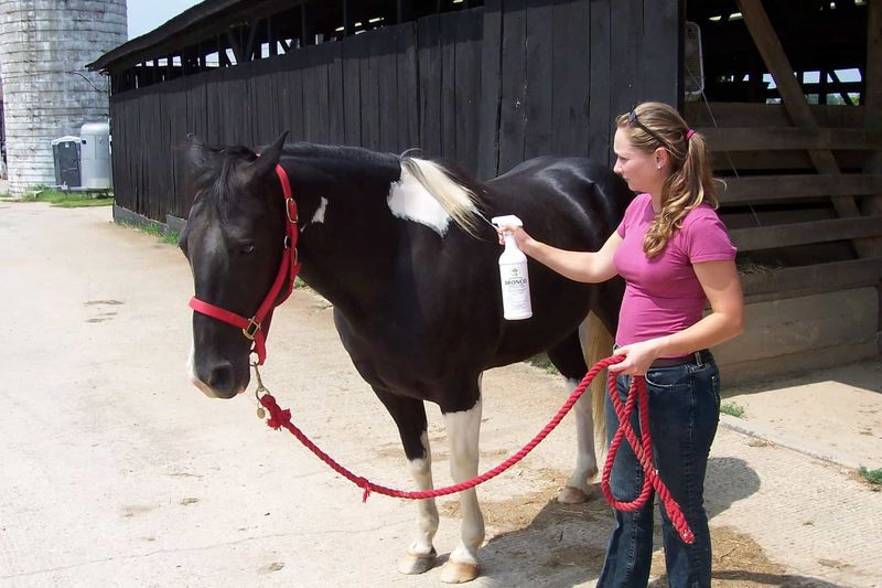 Response: Improve Fly Control Measures