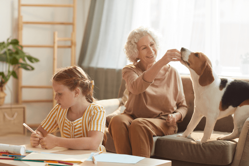 Retirement Life