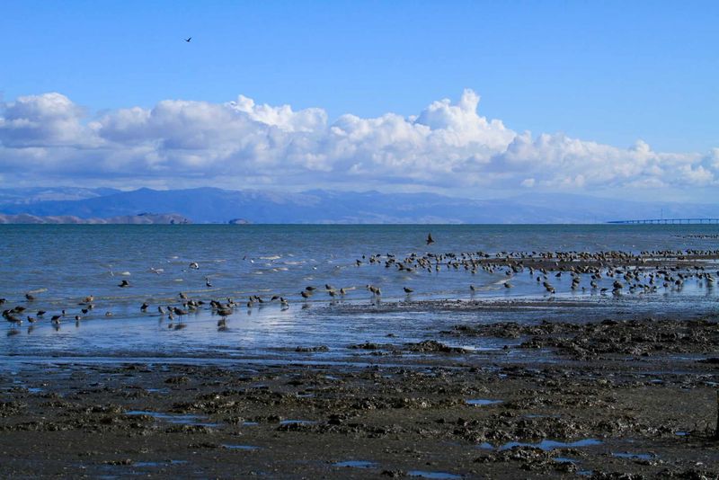 Rich Coastal and Marine Environments