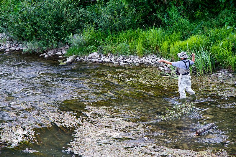 Rio Grande River, Colorado