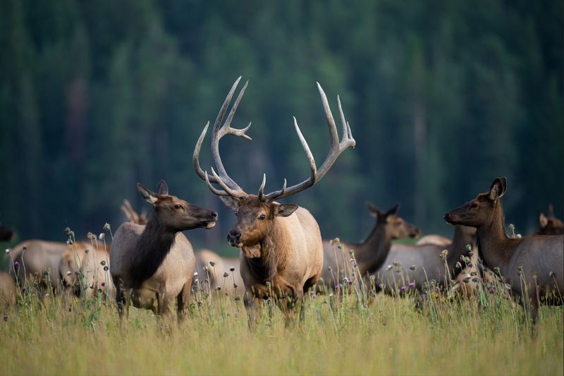 Rocky Mountain National Park