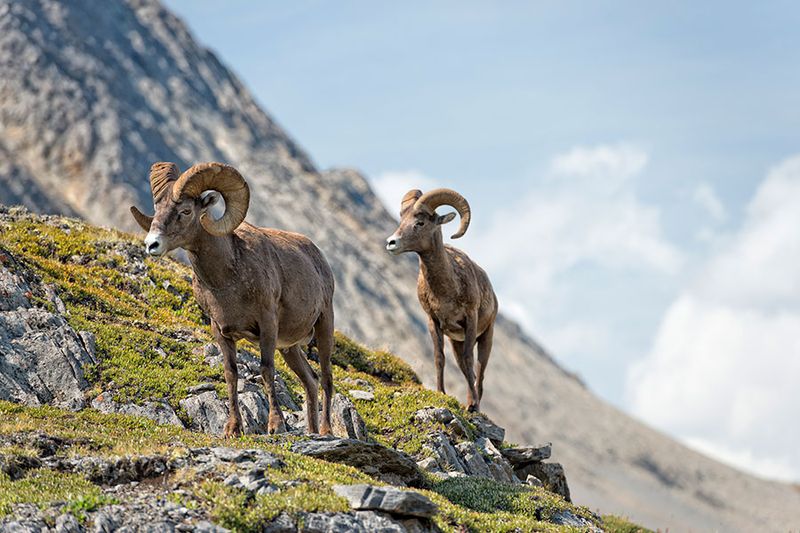 Rocky Mountain National Park