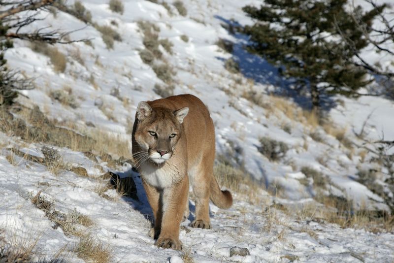 Rocky Mountain National Park, Colorado