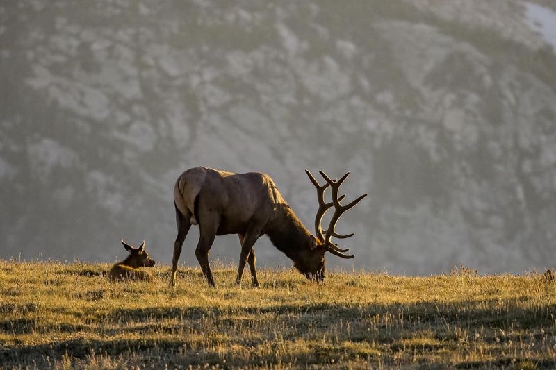 Rocky Mountain National Park, Colorado