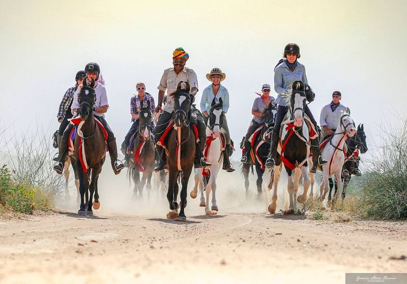 Role in Modern Equestrian Sports