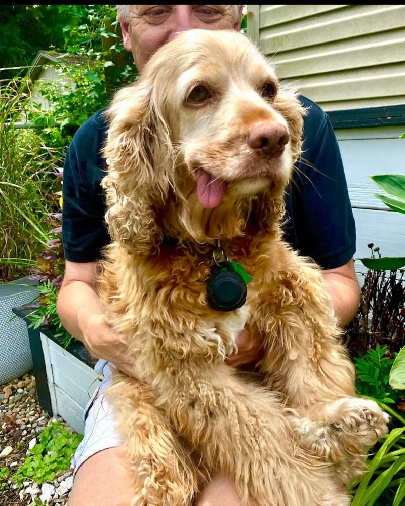 Rosie the Cuddle Champion