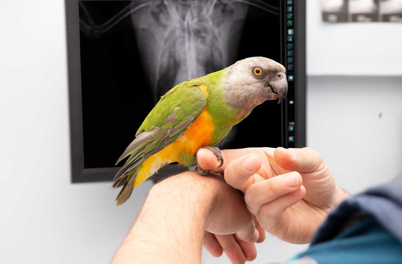 Routine Health Check-ups