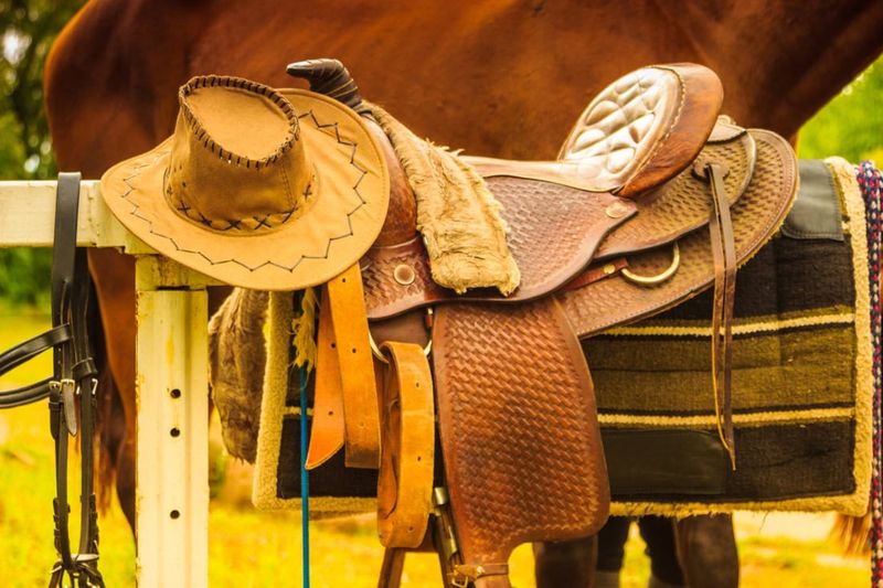 Saddle and Tack