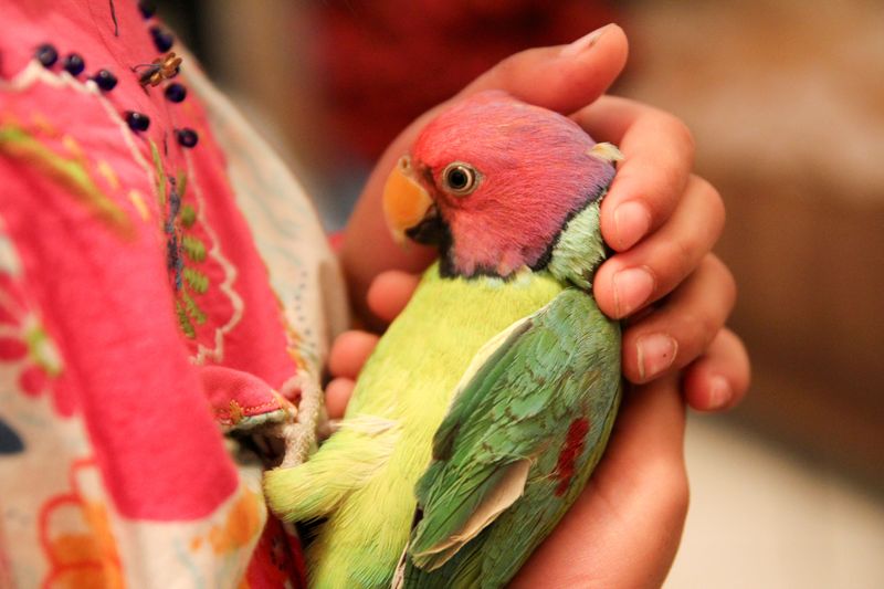 Safe Interaction with Humans