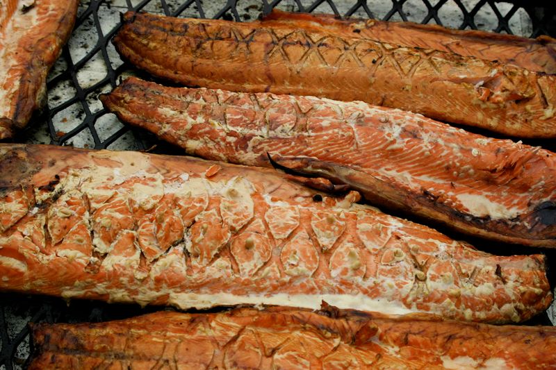 Salmon: Life-giving Cycles