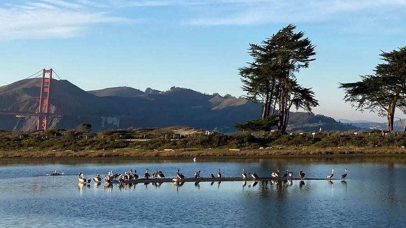 San Francisco Bay, California