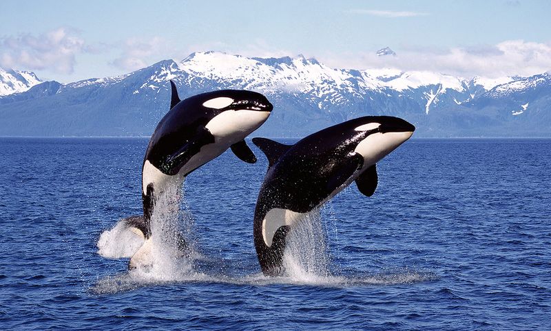 San Juan Islands, Washington
