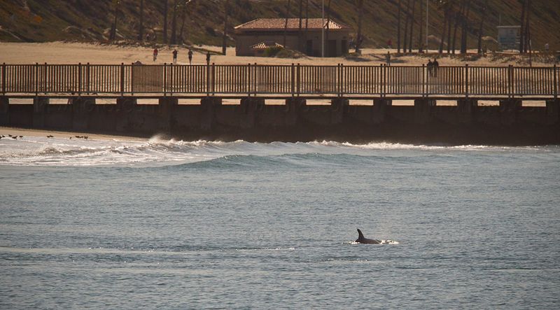 Santa Monica Bay, California
