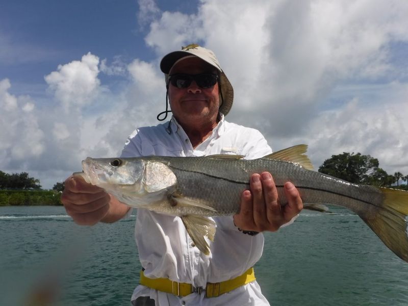 Sarasota Bay, Florida