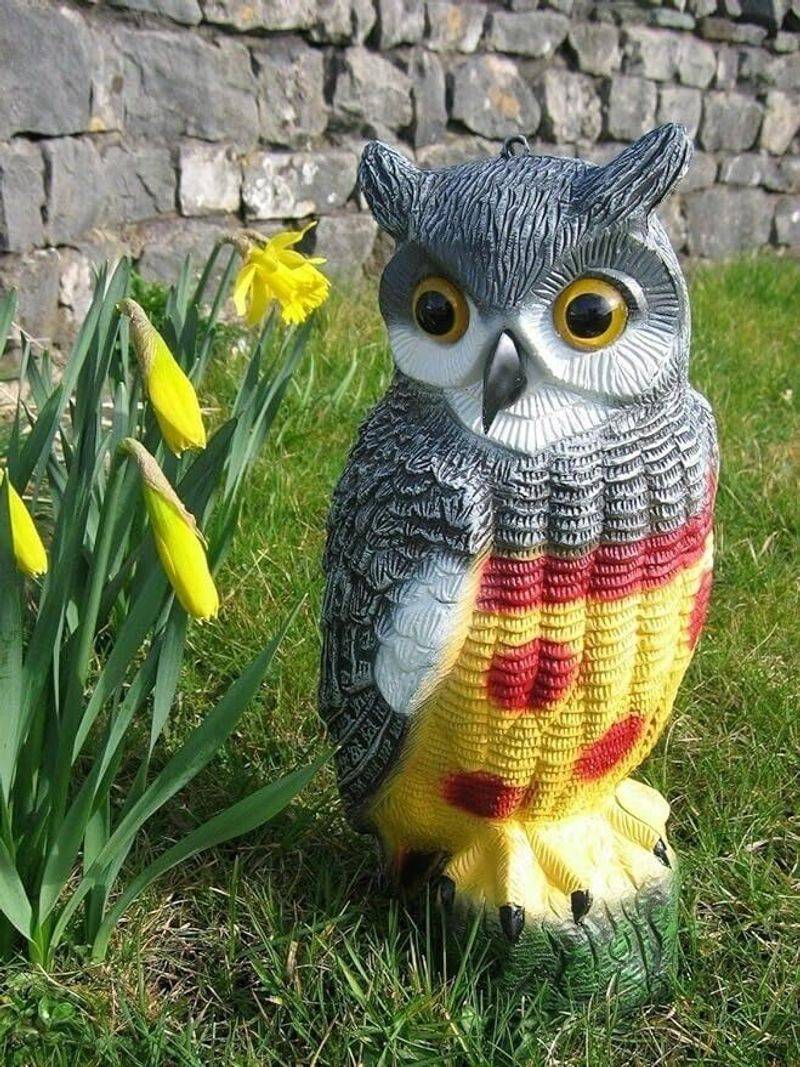 Scarecrow Owl