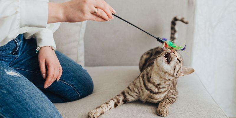 Schedule Regular Playtime