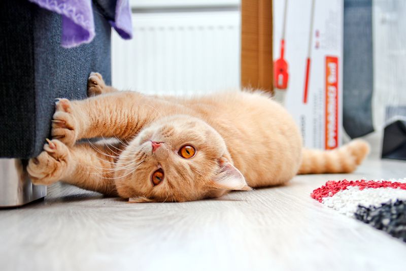 Scratching
