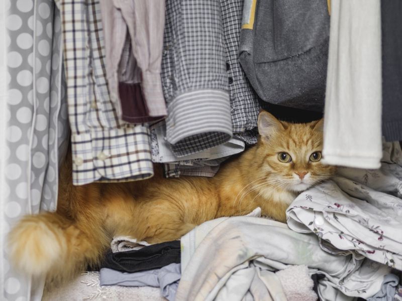 Seeking Hiding Spots