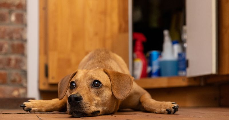 Sensitivity to Household Changes