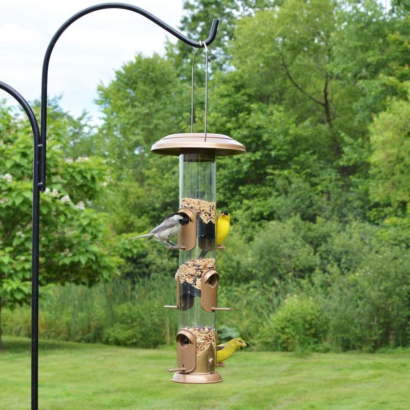 Separate Feeding Zones