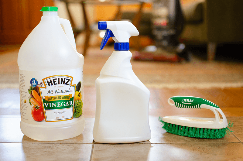 Set Up a Natural Ant Repellent