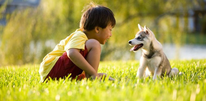 Shared Curiosity Adventures