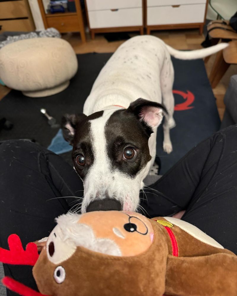 Sharing Favorite Toy