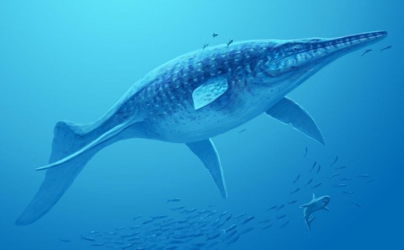 Shastasaurus