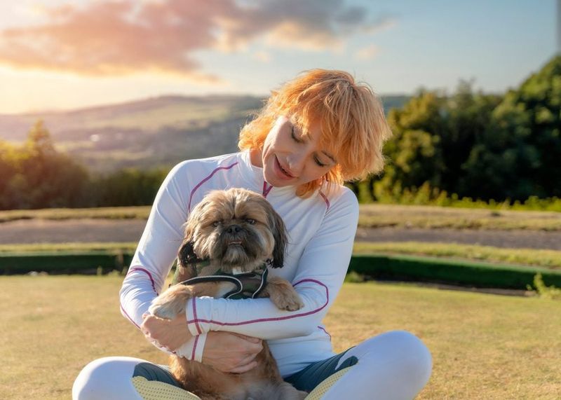 Shih Tzu