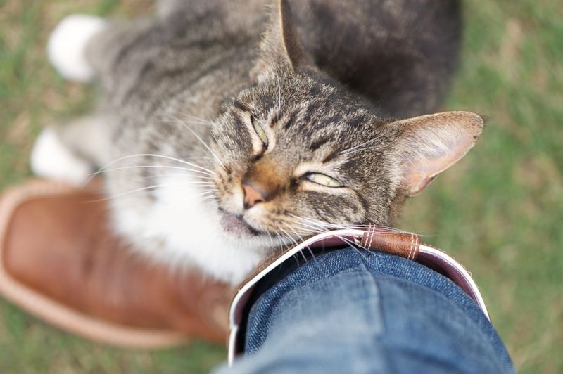 Showing Affection