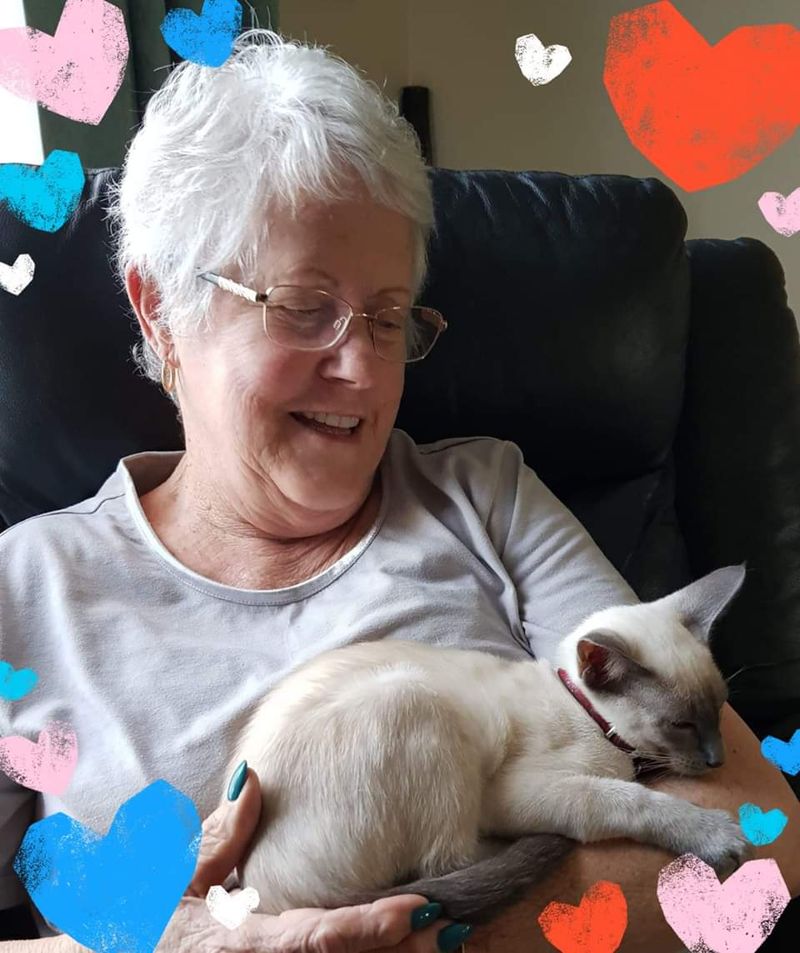 Siamese