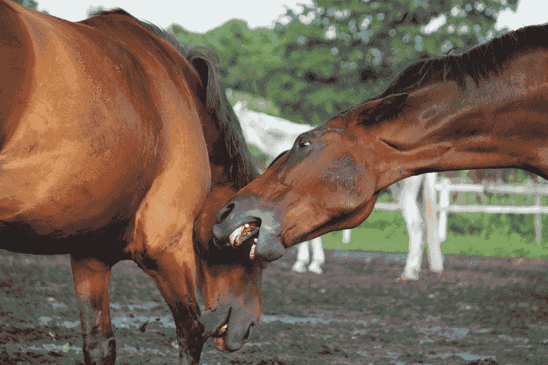 Sign: Aggression Towards Others