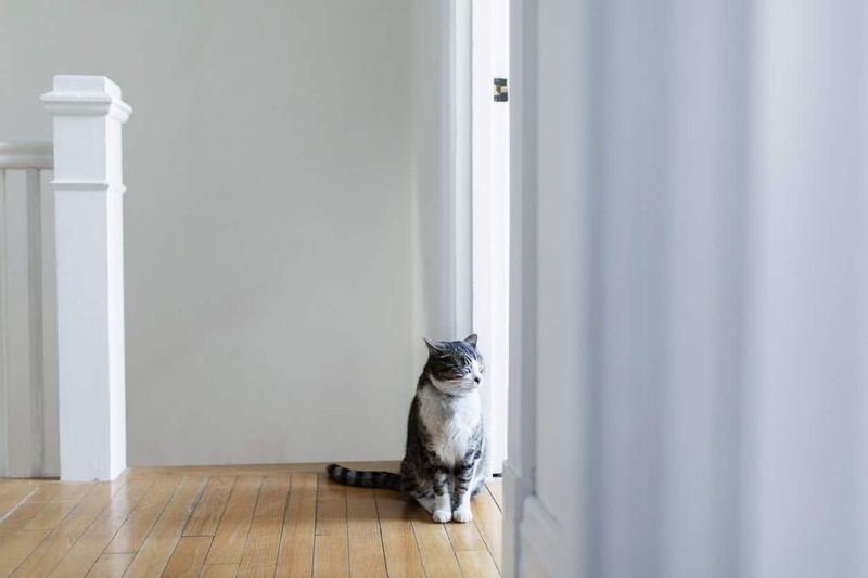 Sitting by the Door