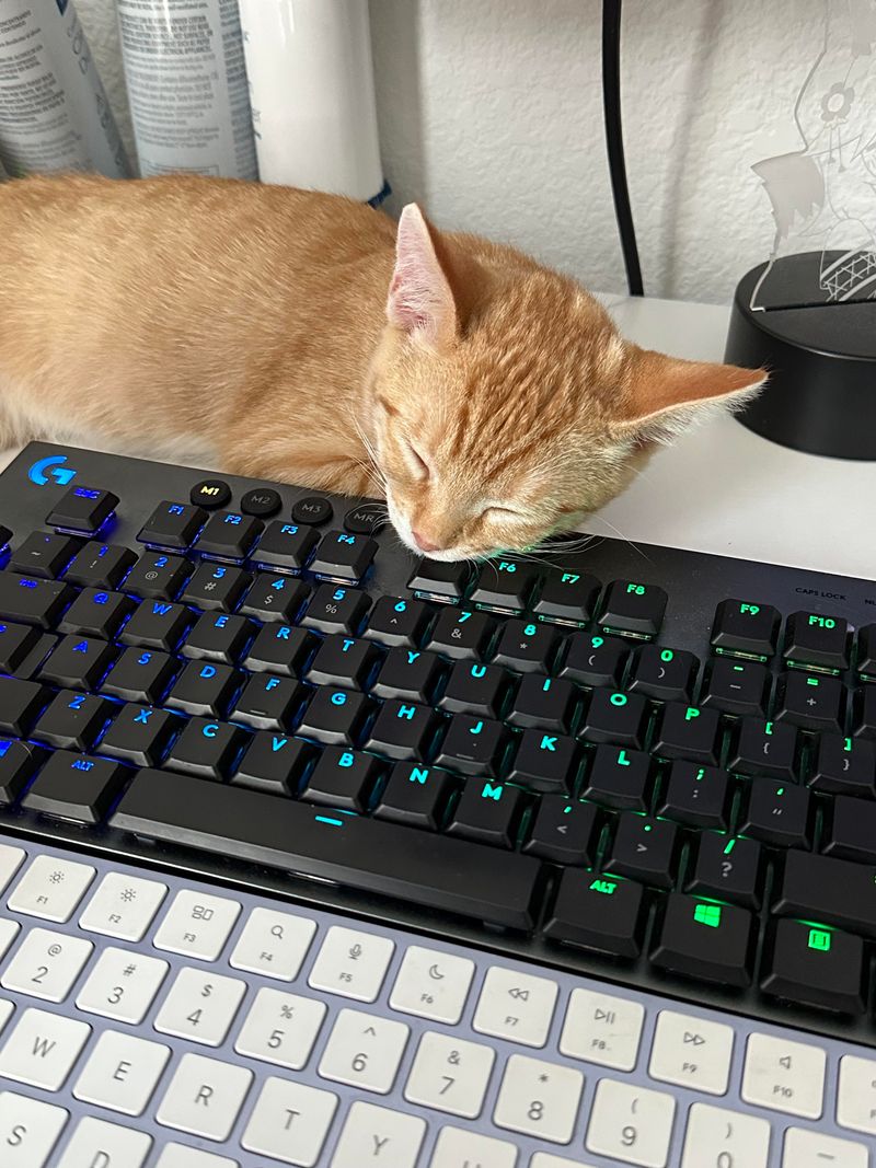 Sitting on Your Keyboard
