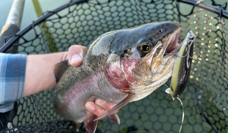 Skipping: Heavy Lures