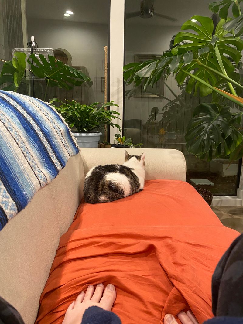 Sleeping Away From You