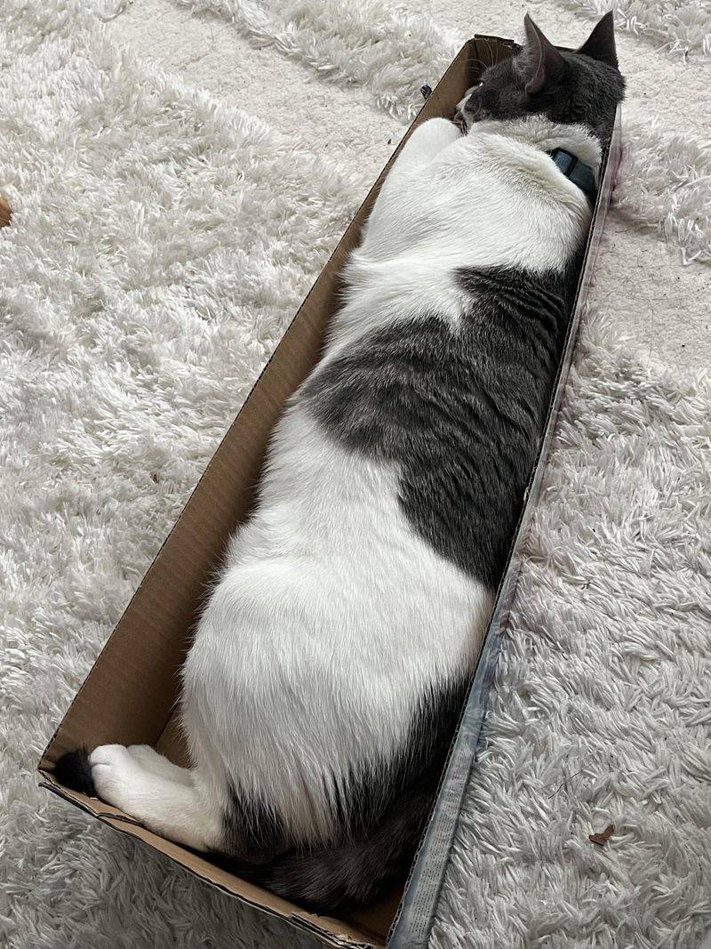Sleeping in Odd Places