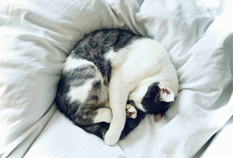 Sleeping in Your Spot