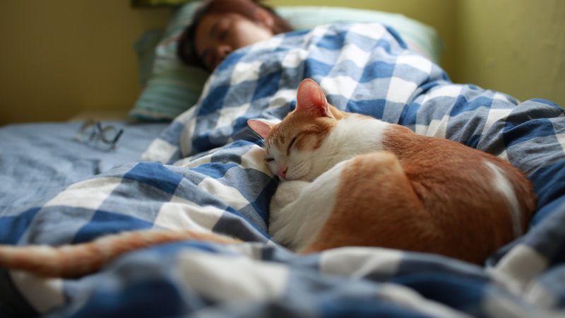 Sleeping on Your Bed