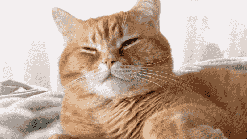 Slow Blinking