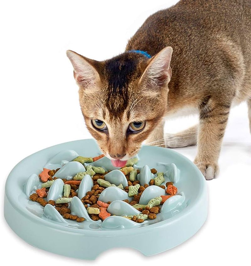 Slow Feeder Bowls