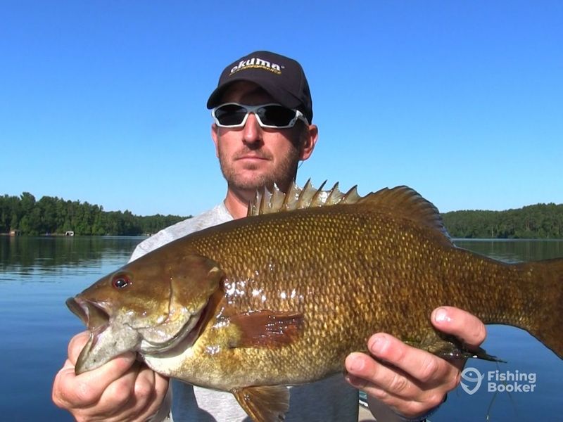 Smallmouth Bass