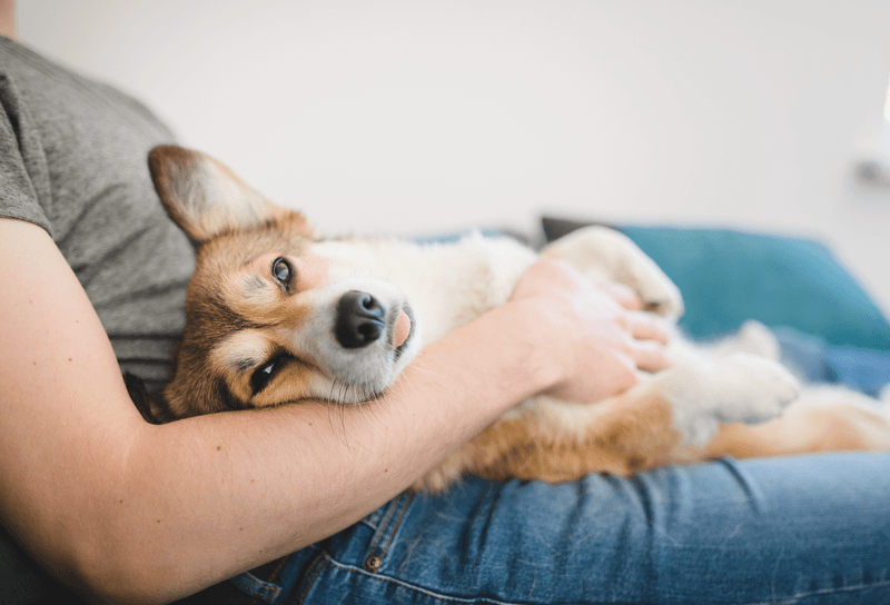 Snuggling
