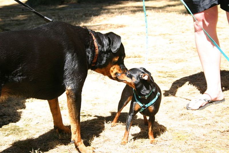 Socialization
